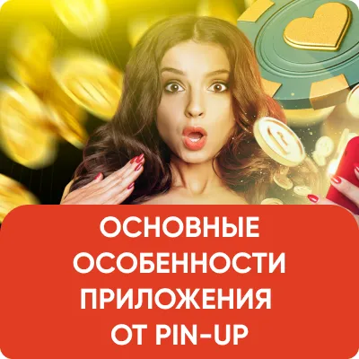 ОСНОВНЫЕ ОСОБЕННОСТИ ПРИЛОЖЕНИЯ ОТ PIN-UP